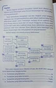 Oleh karena itu, tanaman yang direkomendasikan untuk agroforestri berbasis jati fase awal adalah jagung dan kacang tanah (sebagai sumber pangan dan pakan ternak ruminansia). Kunci Determinasi Bayam Jagung Lumut Melinjo Pakis Padi Brainly Co Id