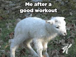 Check out both of these for <img> tag and. Me After A Good Workout Gifs Get The Best Gif On Giphy