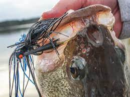 Jerkbait Fishing Tips For Ultra Cold Water Bass Wired2fish Com Fishing Techniques Winter Fishing Fishing Tips