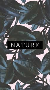 Instagram Highlight Cover Instagram Stories Nature Highlights Green Nature Instagram Instagram Icons Instagram Theme