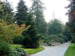 botanische tuin pinetum blijdenstein hilversum prachtige tuinen botanische tuin tuin