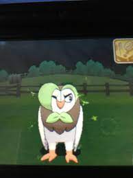 Uhhmm, has anyone seen Dartrix with his eyes open? I'm not too sure I like  this.. : r/nuzlocke