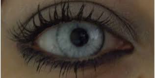 Fxeyes Icy Blue Google Image Result For Http Www Fxeyes Com Fxstore Images Icyblue Jpg Contact Lenses Colored Color Lenses Iris Eye