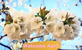 Amazing quotes to bring inspiration, personal growth, love and happiness to your everyday life. April Quotes Epic Phrase