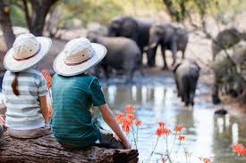 We did not find results for: Afrika Urlaub Mit Kindern In Botswana Enchanting Travels