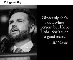 Vance's wife dealing with political issues