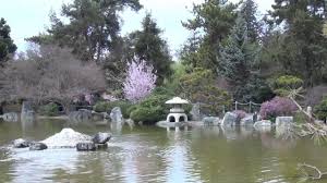 Your browser does not support the video tag. Japanese Garden San Jose Fall In Love With Nature Beauty Youtube