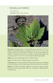 Edible and Medicinal Flora of the West Coast by Collin Varner