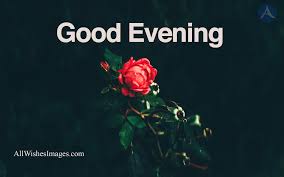But somehow saying good evening will not connect to strangers. Good Evening Flowers All Wishes Images Images For Whatsapp