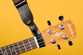 Tabs search engine, guitar lessons, gear reviews. Uke Can Do It How To Get Started With The Ukulele Wirecutter