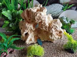 Chewy.com has been visited by 100k+ users in the past month White Rock Large Aquarium Decor Ornament Aquariumh2o Com
