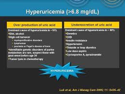 Image result for Hyperuricemia