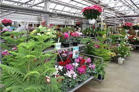 We did not find results for: Schroeder S Flowers Inc Green Bay Cvb