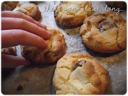 Great Fun Etc Chocolate Chip Cookies Mmmmmm Chocolate Dessert Recipes Cookies Recipes Chocolate Chip Best Cookie Recipes