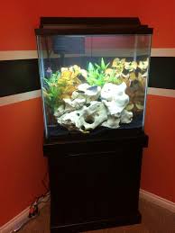Are 6 African Cichlids Too Much For 36 Gallons? I'Ve Seen Conflicting Info.  Some Say 1