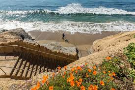 Based on frost dates based on moon dates. Where To Find The Best Wildflowers In Santa Cruz County Visit Santa Cruz County