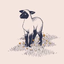 Black And White Sheep Drawing White As Snow An Art Print By Ash Weaver In 2020 Sheep Illustration Art Sheep Art