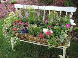 Epingle Sur Nature