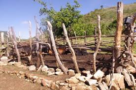 Zimbabwe Cattle Kraal Southern Africa Africa Around The Worlds