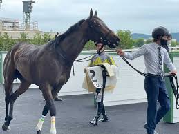 We did not find results for: ç¦å³¶æ–°é¦¬æˆ¦ ã‚¦ã‚£ãƒªãƒ³ãŒ7é¦¬èº«å·®ã§åœ§å‹ M ãƒ‡ãƒ ãƒ¼ãƒ­ã‚‚èˆˆå¥®æ°—å'³ é¦¬ãªã‚Šã§ã‚ã‚Šãˆãªã„ ã‚¹ãƒãƒ‹ãƒ Sponichi Annex ã‚®ãƒ£ãƒ³ãƒ–ãƒ«