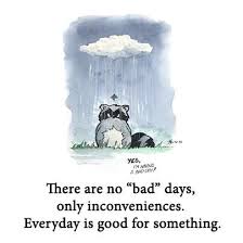 There Are No Bad Days Only Inconveniences Everyday Is Good For Something