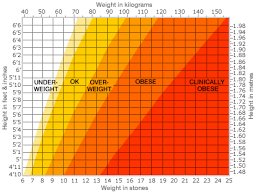 Bmi Chart Bmi Calculator Everest Granite Dallas