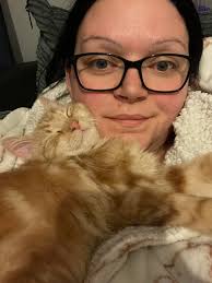 Adorable Ragdoll Cats Wishing Happy New Year