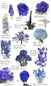 Flower Names By Color Flowers Blue Wedding Flowers