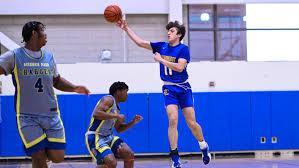 North Jersey Interscholastic Conference boys basketball season stat leaders  through Jan. 4