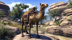 The next one is at dadaupa gorge. Pin On Elder Scrolls