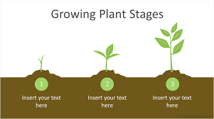 Free Plant Growing Tips Powerpoint Template Infographic Powerpoint Powerpoint Templates Background Powerpoint