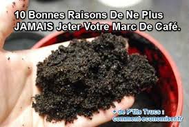 Cafés bio, cafés d'afrique, café d'amérique centrale, cafés d'amérique du sud, cafés d'asie, cafés d'océanie, cafés des caraïbes, mélanges de cafés, cafés ces produits sont torréfiés à la demande. 10 Bonnes Raisons De Ne Plus Jamais Jeter Votre Marc De Cafe Marc De Cafe Jardinage Jardins