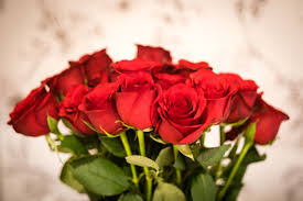 Check spelling or type a new query. Whole Foods Valentine S Day Roses Sale Where To Get Cheap Roses