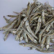 For fast respond direct whatsapp 01131447604. Dried Anchovy Ikan Bilis Dried Fish Buy Dried Anchovy Malaysia Dried Fish Ikan Bilis Product On Alibaba Com