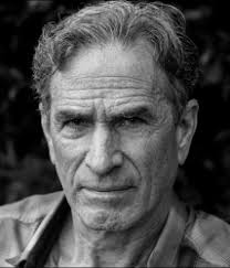 The new Helio Courier pilot : Air Facts Journal