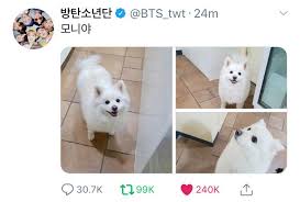 Through the group's twitter, rm wished his canine monie a . Rm Twt Caption Monie Ya Bts Funny Cambodia Facebook