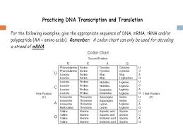 Dna transcription and translation | dna to protein. Unit 8 Molecular Genetics And Biotechnology Main Idea Dna Codes For Rna Which Guides Protein Synthesis From Genes To Genetic Expression The Central Ppt Download