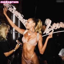 Candice Swanepoel  angelcandice  candiceswanepoel Nude Leaks OnlyFans  Photo 1041 - v2.1 | dvir.ru