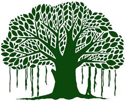 Tree Logo Google Search Tree Drawing Tree Logo Design Tree Logos