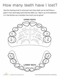 tooth chart tooth chart science worksheets dental kids