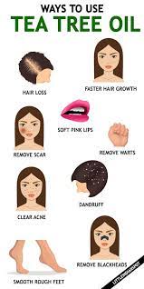 Best Ways To Use Tea Tree Oil Little Indian Spot Tea Tree Oil Hair Tea Tree Essential Oil Tea Tree Oil