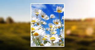 Maryann F. Fagan Obituary June 4, 2018