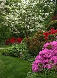 Merrifield Garden Center Featured Landscape Project Landscape Design Beautiful Gardens Garden Shrubs