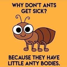 Puny Pun Funny Post Funny Puns Puns Jokes Corny Jokes