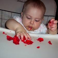 Stephen Lima (@cheflima)