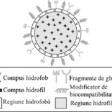 Articol scris in data de: Pdf Systems For Controlled Release Of Biologically Active Compounds Applications In Anaesthesia And Intensive Care Units