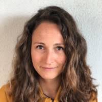 60+ "Holzner" profiles