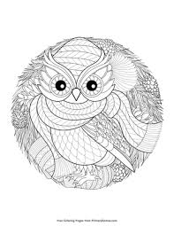They are amazing birds, and these owl facts and trivia may surprise you! Winter Owl Coloring Page Free Printable Pdf From Primarygames