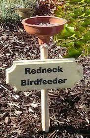 Bird In Bird Bath Video Pin On Yard Garden