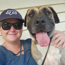 Ipswich Dog Boarding & Pet Services